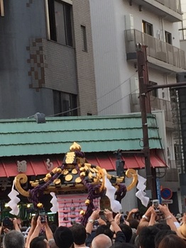 2015三社祭り解像度小3.jpg